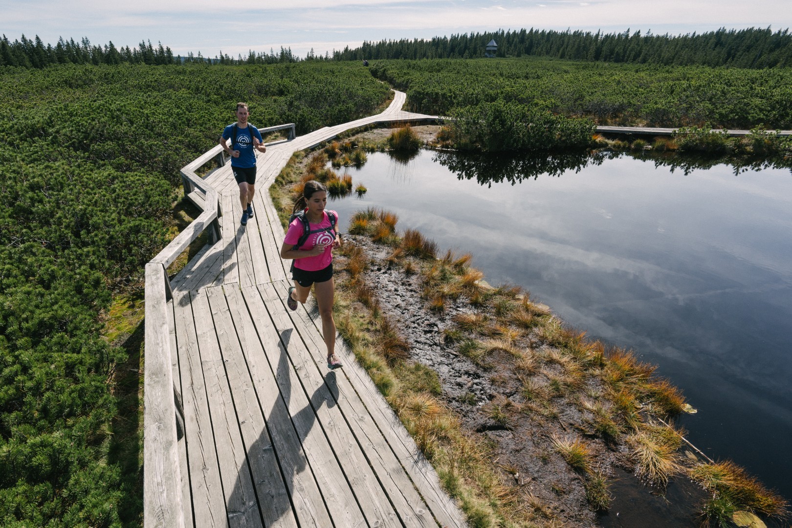 Slovenski gozdarski trail