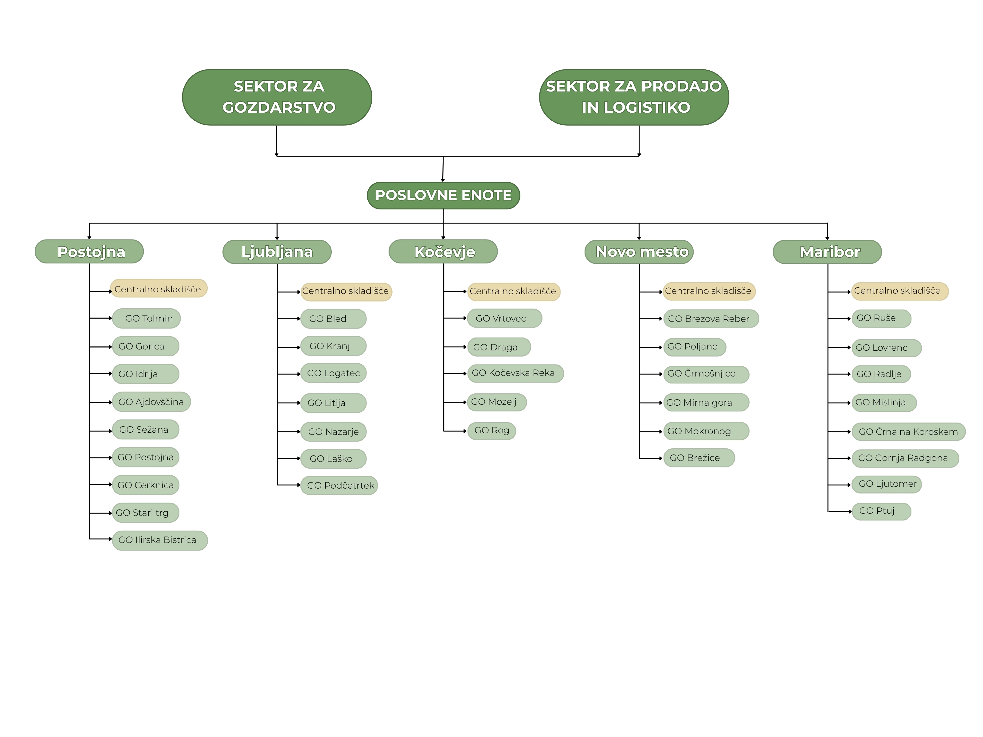 Organigram SiDG, poslovne enote 2025.jpg