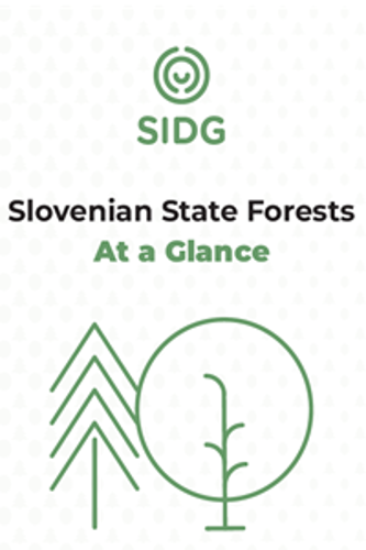 Posnetek zaslona 2026-03-26 135516.png