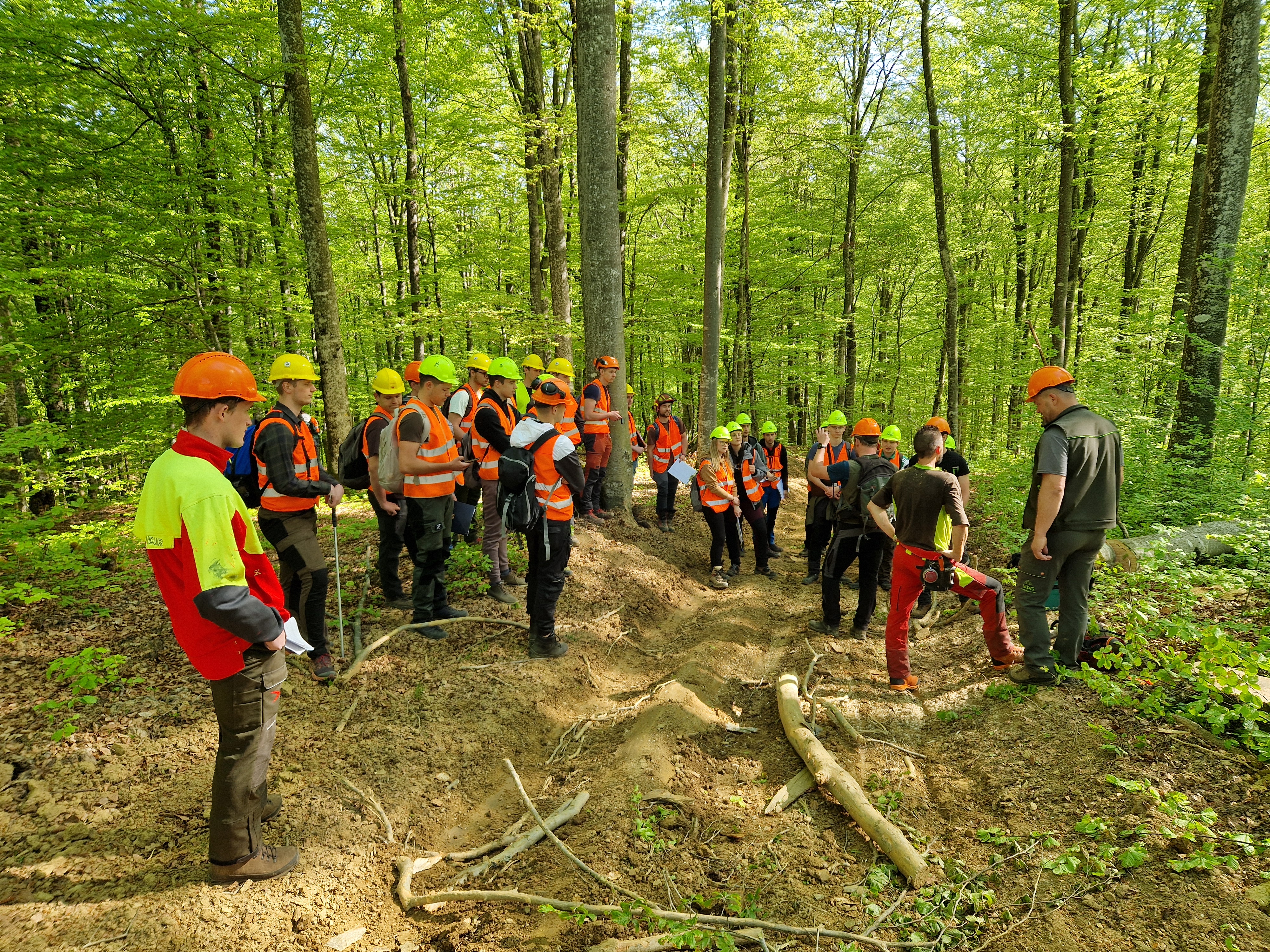 Praktično usposabljanje