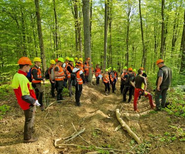 Praktično usposabljanje