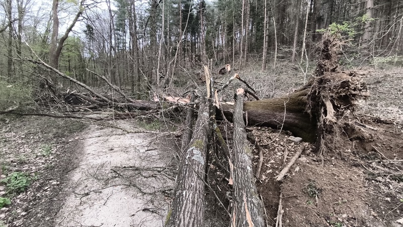 Vetrolom Panovec 26.3.2026