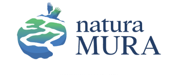 natura-mura.png