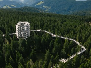 Konec avgusta na Pohorju 1. Slovenski gozdarski trail