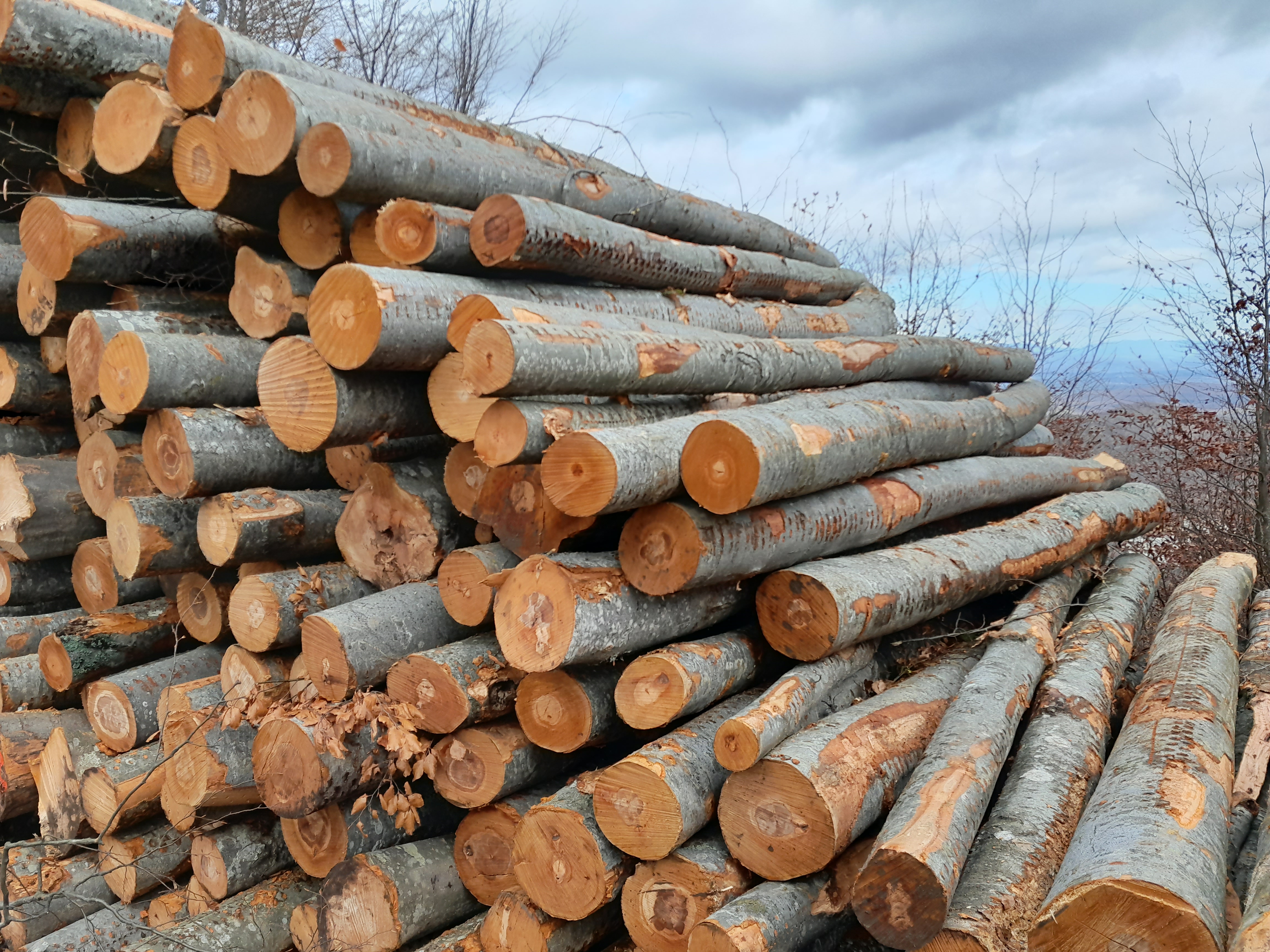 Javni pozivi - direktna prodaja