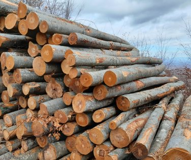 Javni pozivi - direktna prodaja