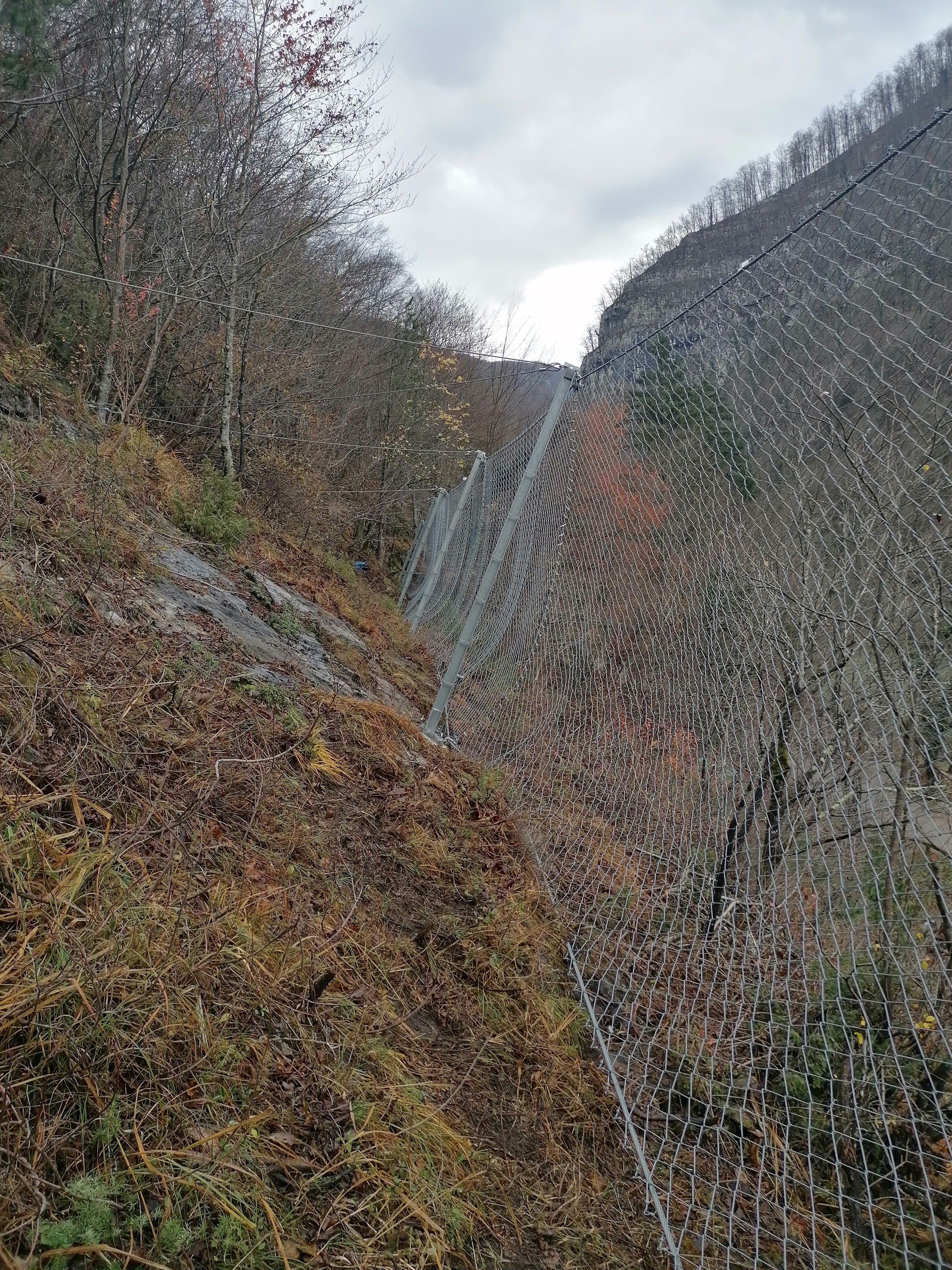 Podajno lovilne ograje