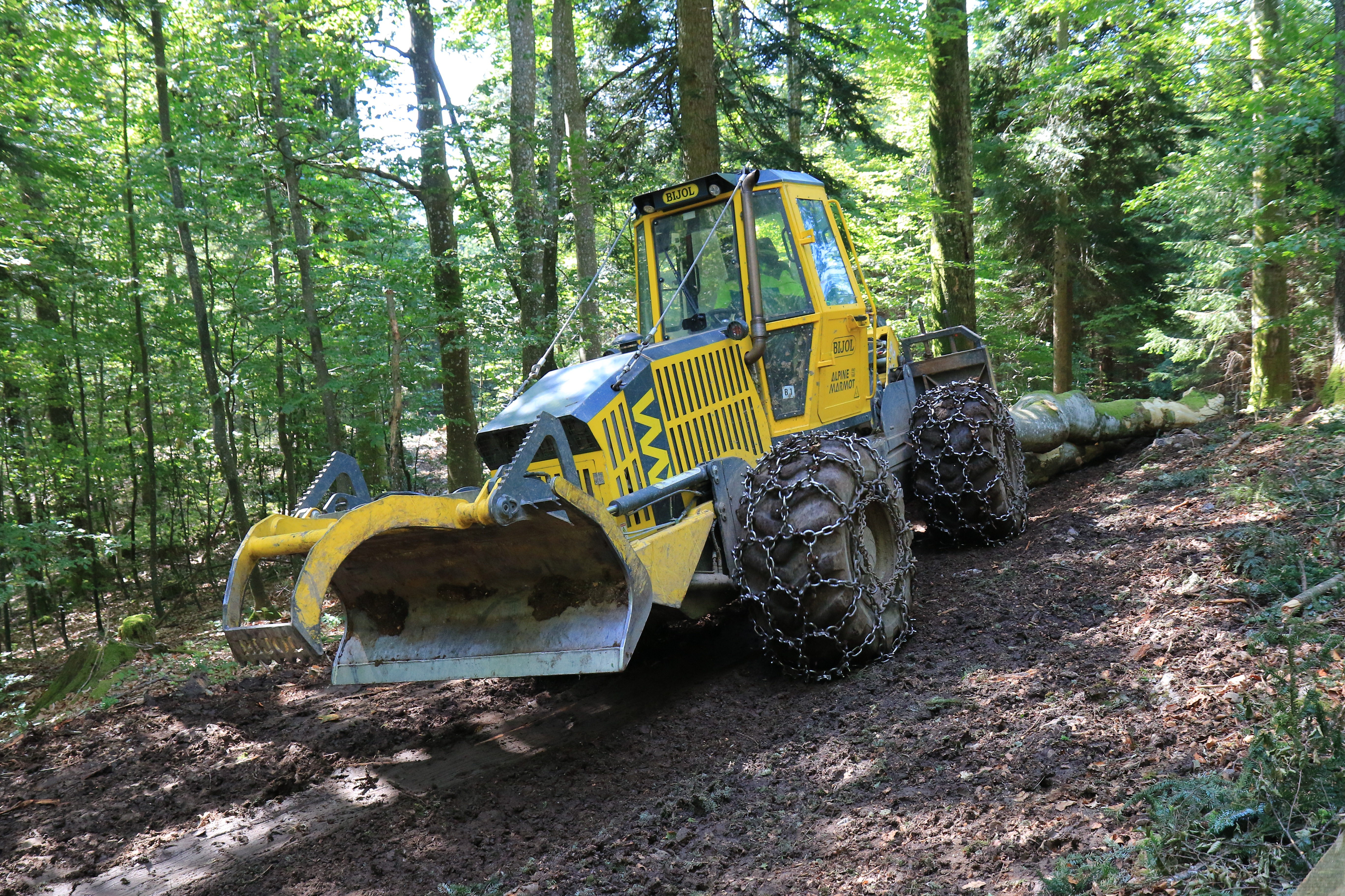 Vpis v bazo kandidatov