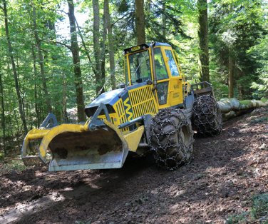 Vpis v bazo kandidatov