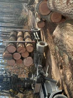 SiDG organizira drugo dražbo vrednejše hlodovine