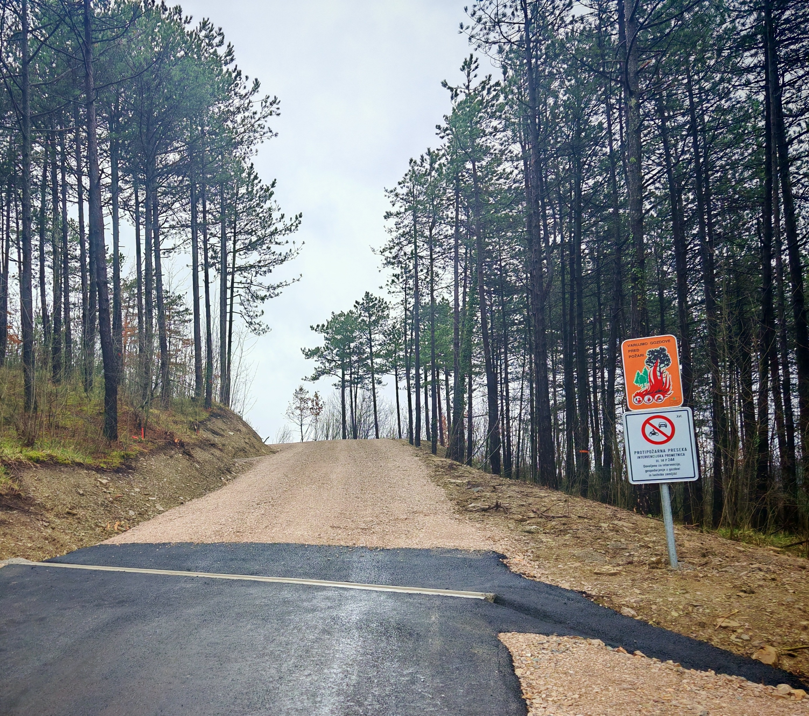 Protipožarna cesta Sočerga