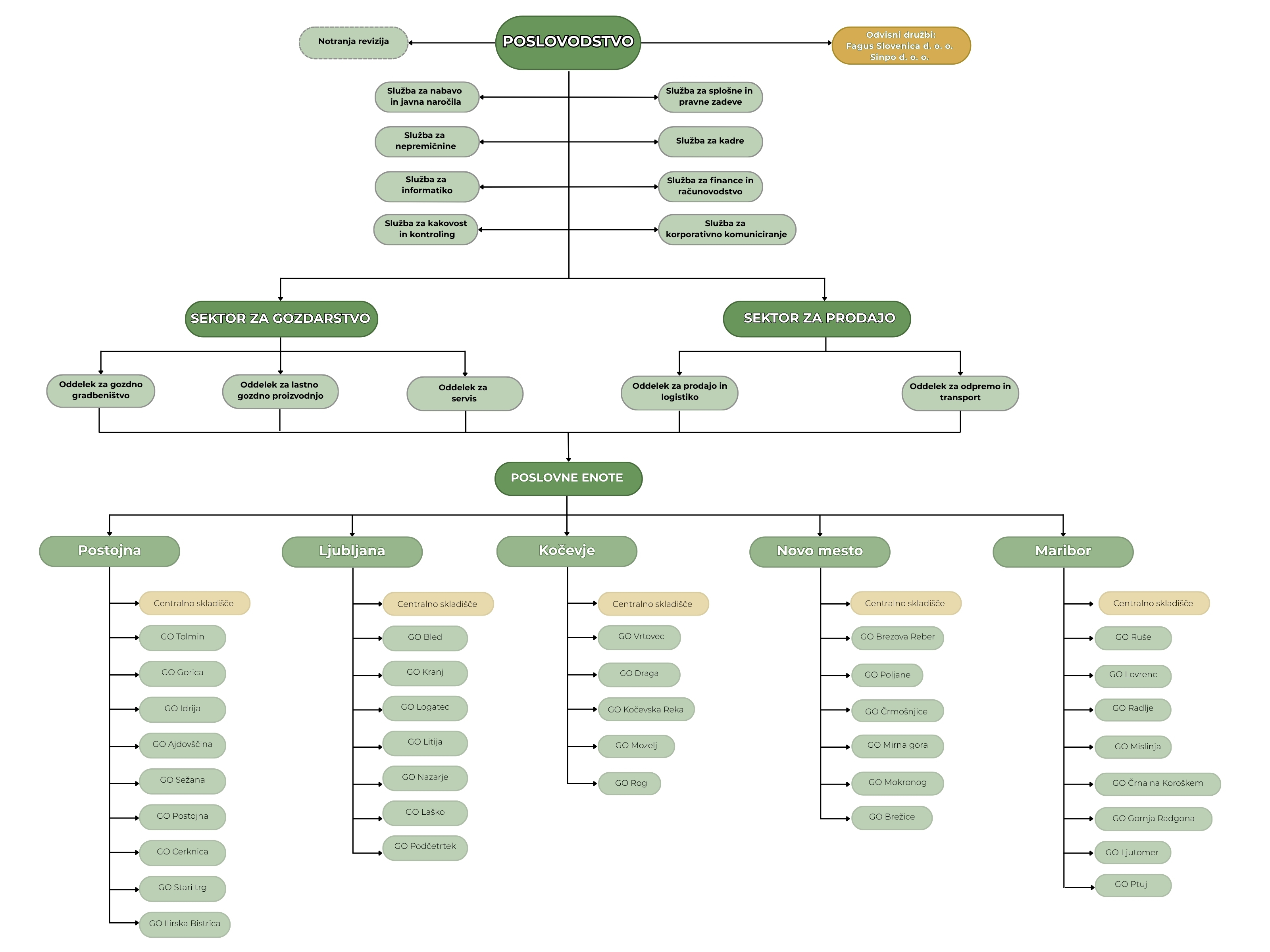 Organigram SiDG 2025.jpg
