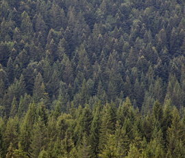 Kupujete ali menjate stavbno zemljišče oz. želite stavbno pravico?