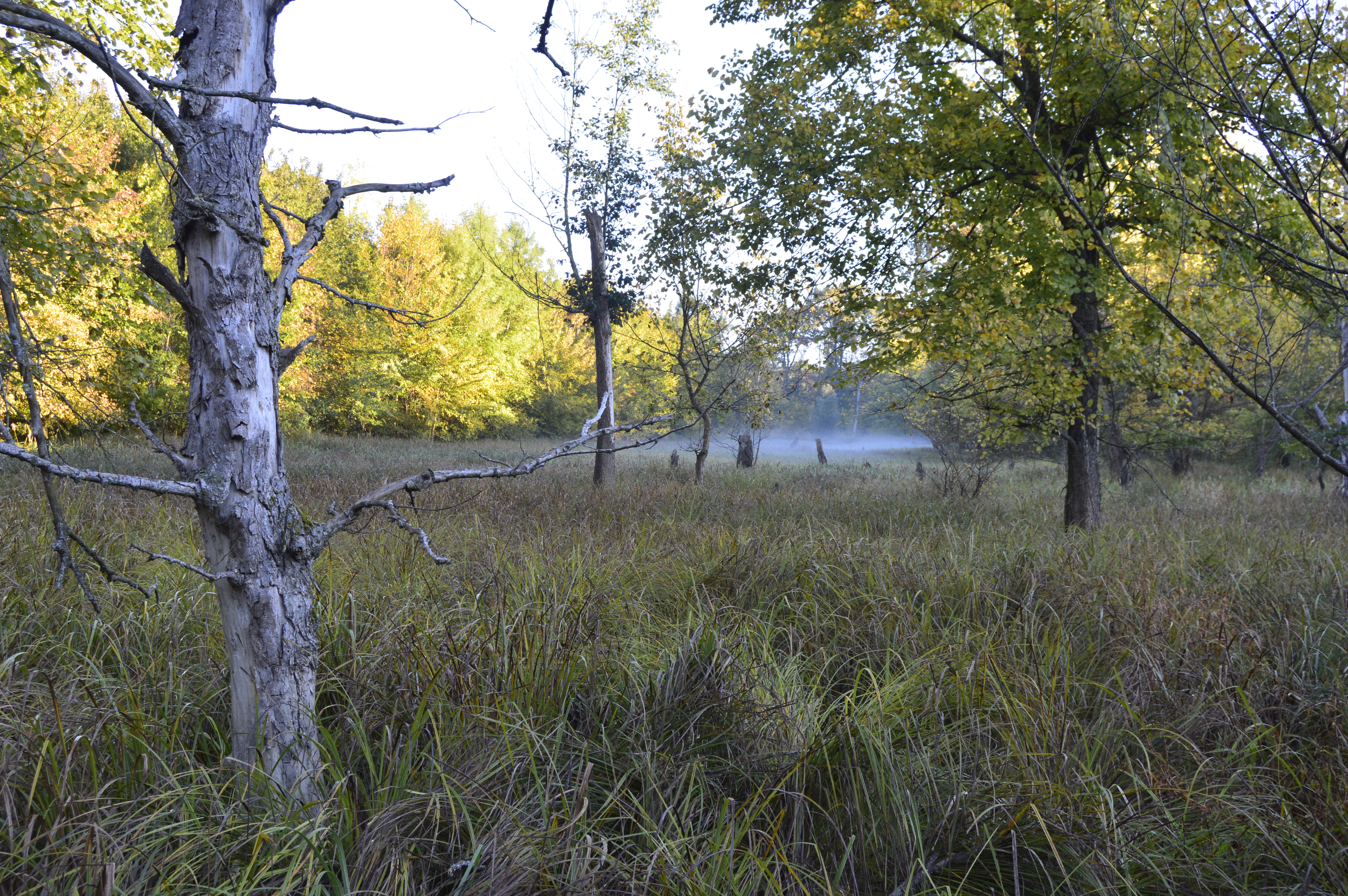 Začenja se projekt Natura Mura – Drava 