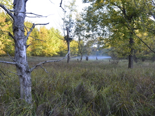 Začenja se projekt Natura Mura – Drava 