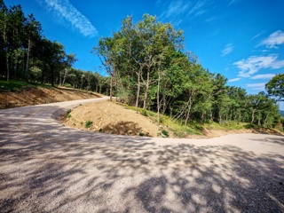 Nova protipožarna cesta Tinjan