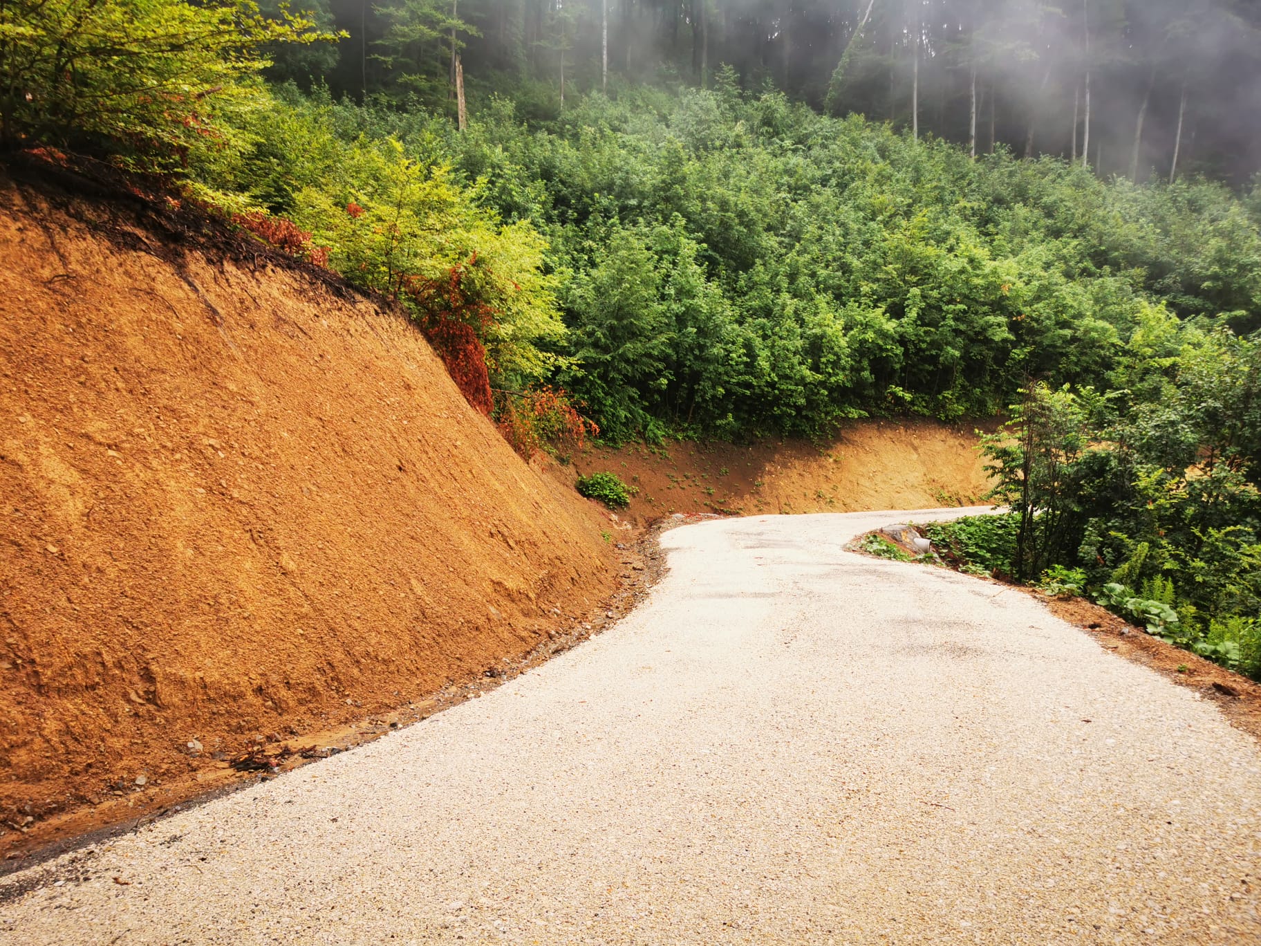 Gozdno gradbeništvo