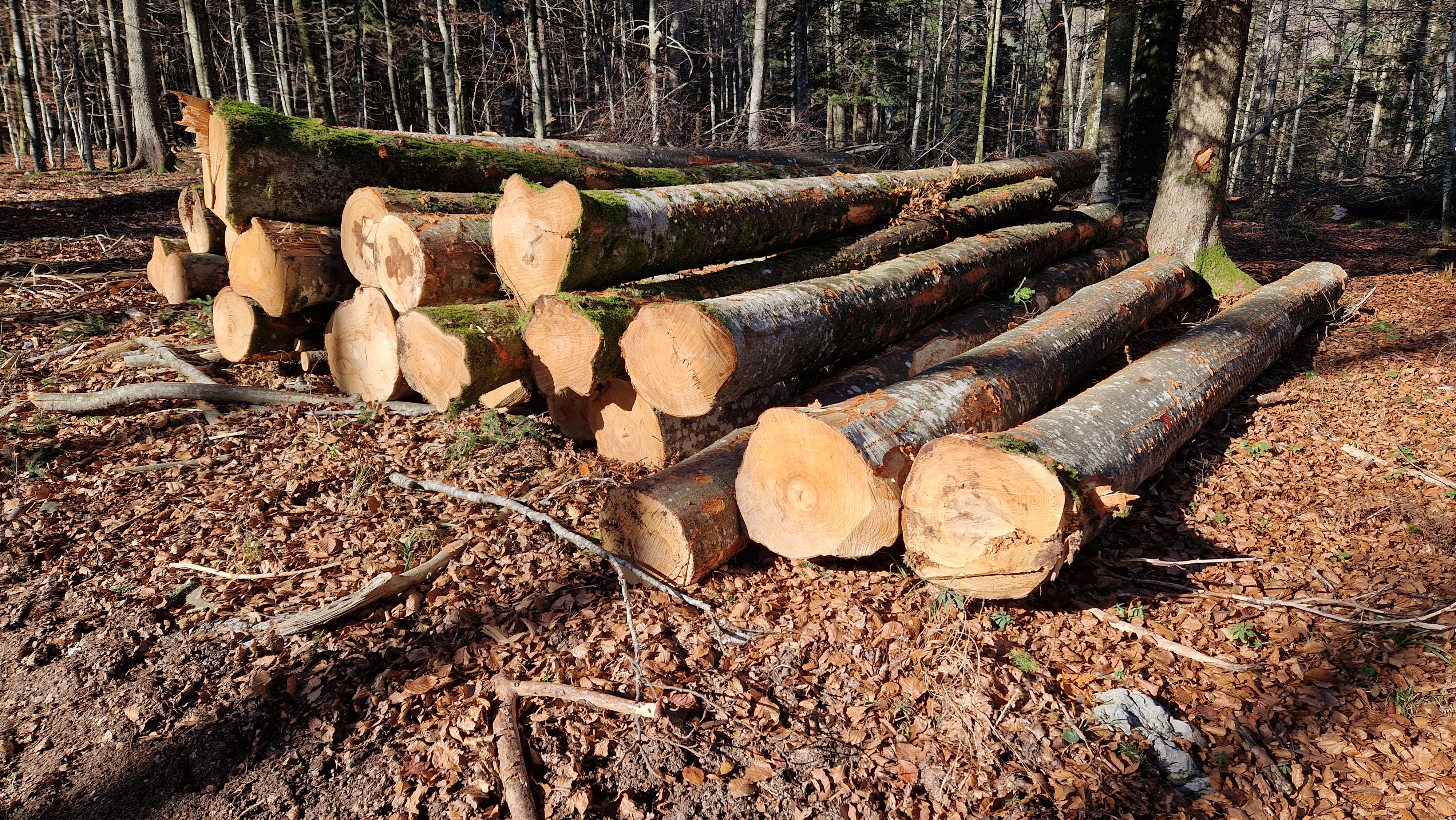 Arhiv cenikov za dolgoročne pogodbe