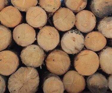 Javno zbiranje ponudb